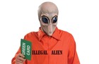 Picture for song 'Illegal Alien' by artist 'Boy and the Ghost'