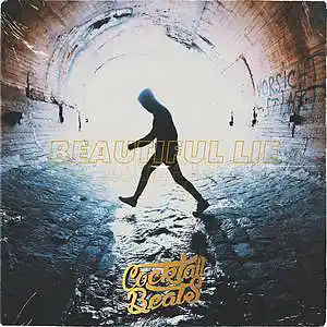 Picture for song 'DRAKE Type *Beautiful Lie*' by artist 'Cocktail Beats'