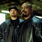 Picture for song 'shockwaves MP3. tagless lease $19.95' by artist 'db koopa'