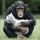 Picture for song 'P.E.A.C.E (Prod By DjHappy)' by artist 'Djhappybeatz'