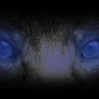 Picture for song 'DJ PSYCHO PRODUCTION - FoxCity' by artist 'DJ PSYCHO PRODUCTION'