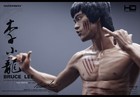 Picture for song 'Bruce Lee.mp3' by artist 'DmbBeats419313'