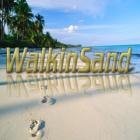 Picture for song 'Walkinsand' by artist 'dreamsdriver'