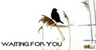 Picture for song 'Wait'n 4 U' by artist 'Dukey Stains'