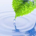 Picture for song 'A Natural- Young E (prod. by Young E)' by artist 'E 3 (M.T.G.)'