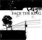 Picture for song 'The Burning & The Falling Down' by artist 'Face The King'