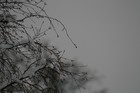 Picture for song 'Undying Lands' by artist 'Fading Sunlight'