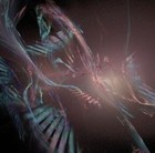 Picture for song 'Fractal Vivisection - Tachyon' by artist 'Fractal Vivisection'