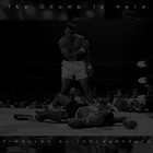 Picture for song 'The Champ Is Here|DemoDL' by artist 'iAmLegendary'