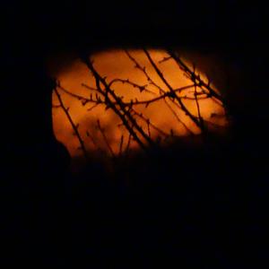 Picture for song 'Mississippi Moon' by artist 'Jamey Darnold'
