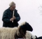 Picture for song 'Shmshal' by artist 'KurdishMelody'