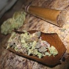 Picture for song 'Smoking Music' by artist 'Lil Dpizzle'