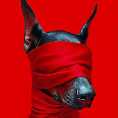 Picture for song 'BLINDFOLD' by artist 'LORENZO1997'