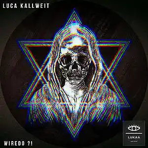 Picture for song 'Wiredo ?!' by artist 'Luca Kallweit'