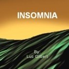 Picture for song 'Insomnia.mp3' by artist 'Luc Gilbert'
