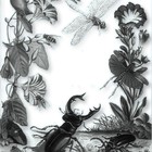 Picture for song 'Outside My Window' by artist 'MelodyHead'