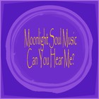 Picture for song 'Can You Hear Me?.mp3' by artist 'Moonlight Soul Music'