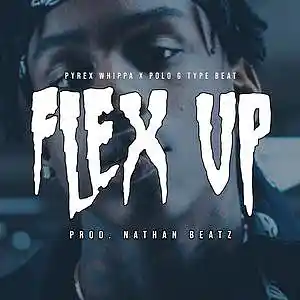 Picture for song 'Flex UP [Polo g x Pyrexx Whippa Type Beat]' by artist 'Nathan Beatz'