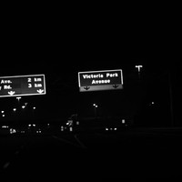 Picture for song 'Valley Boy (011531)' by artist 'Nature Boy Holls'