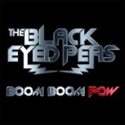 Picture for song 'Black Eyed Peas - Boom Boom Pow Mix' by artist 'Neganorte'