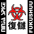 Picture for song 'Tsujigiri' by artist 'ninja spice'