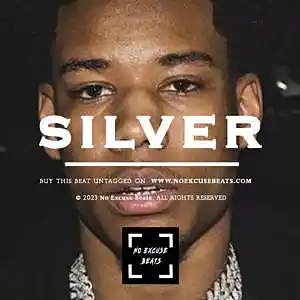 Picture for song 'Nardo Wick "Silver" BUY 2 GET 1 FREE' by artist 'No Excuse Beats'