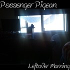 Picture for song 'Heart at 12' by artist 'Passenger Pigeon'