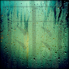 Picture for song 'Rain' by artist 'Project XETA'
