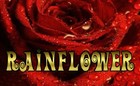 Picture for song 'Solitaire.mp3' by artist 'Rainflower'
