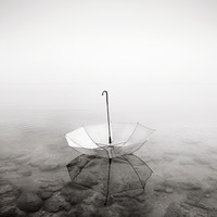 Picture for song 'Pennies from Heaven - new version' by artist 'Rex Reynolds'
