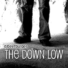 Picture for song 'Down Low' by artist 'Rixer Beats'