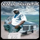 Picture for song '02 Goin Goin, Gone' by artist 'Seanie Neumonik'