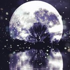 Picture for song 'Shoot For the Moon' by artist 'Silent Noize'