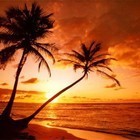 Picture for song 'Fallsunshine www.still-hungry.com (FREE DOWNLOAD)' by artist 'Still Hungry Beats'