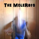 Picture for song 'Mystery (remake).mp3' by artist 'The MoleRats'