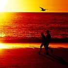 Picture for song 'Need You right now (Rnb Hip Hop beat)' by artist 'TreyVMoore'