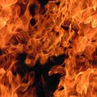 Picture for song 'blaze' by artist 'Trust the INT'