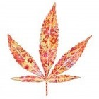 Picture for song 'dis is my letter 2 the white house' by artist 'Young Troopaz'