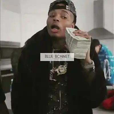 Picture for song 'Blue Bonnet - Sauce Walka Type Beat' by artist '183realchance'