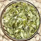 Picture for song '21 Seeds' by artist '21seeds'