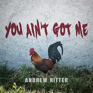 Picture for song 'You Ain't Got Me' by artist 'Andrew Ritter'