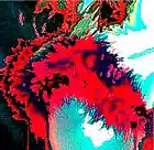 Picture for song 'Perdida Mia' by artist 'Cuatro Mundo'