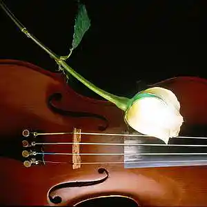 Picture for song 'Sad Day In Heaven' by artist 'Danny Bowman'