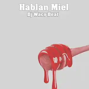 Picture for song 'DJ Waco Beat - Habla Miel' by artist 'DJ Waco Beat'