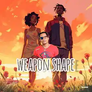 Picture for song 'weapon shape' by artist 'Jerybrown'