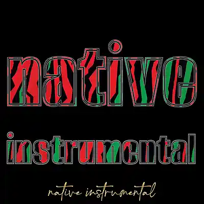 Picture for song ''native instrumental'' by artist 'Larry Soundz'