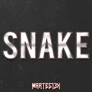 Picture for song 'Snake 76 Bpm' by artist 'Martes13x'