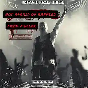 Picture for song 'NOT AFRAID OF RAPPERS' by artist 'Meek Muller'