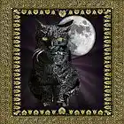 Picture for song 'WahWahWah are my socks?' by artist 'MyCoolCane The Man With No Name'