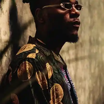 Picture for song 'Afrobeat instrumental-STRINGS' by artist 'producerbaro'